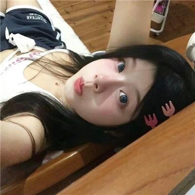 雁南飞